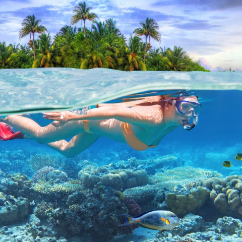 Tour Thiên Đường Ẩm Thực Đường Phố Sài Gòn Bằng Xe Máy